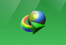 【2025-12-15】IDM 6.42 Build 58 简体中文直装破解版-QiuQuan's Blog