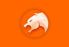 猎豹浏览器 6.5.115.19871 正式版 + 8.0.0.22581 正式版 + 9.0.112.22636 正式版 + 9.1.0.12171 联想定制版｜剔除驱动优化版-QiuQuan's Blog